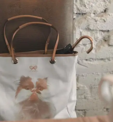 bag-5