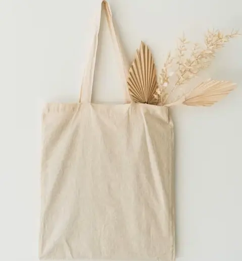 bag-2